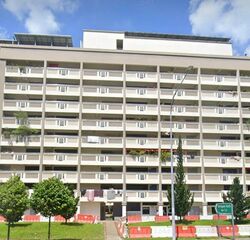 Blk 553 Serangoon North Avenue 3 (Serangoon), HDB 4 Rooms #638611711